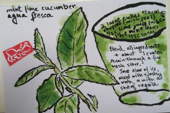 etegarmi of recipe for mint lime cucumber agua fresca