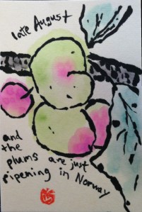 Plums on branch, Norway, for Debbie