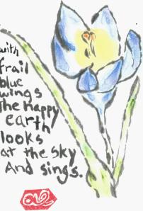 Crocus_FrailBlueWings_Kilmer.2_03-25-13