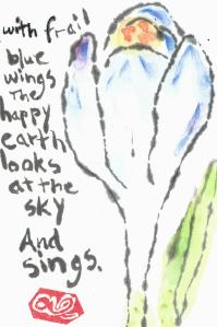 Crocus_FrailBlueWings_Kilmer.3_03-25-13