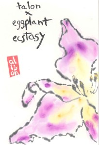 EggplantDayLilly.Talon_EggplantEcstasy.2013-03-16
