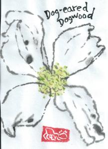 DogearedDogwood.2013-04-27