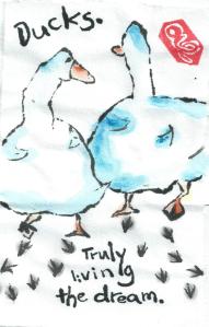 Duck.TrulyLivingtheLife.2013-05-18