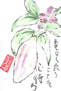 GardenLily.Bud.2013-06-01