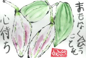 GardenLily.Bud2.2013-06-01