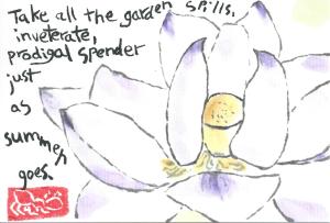 Lotus.TakeAlltheGardenSpills.07-20-13