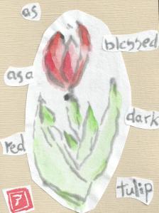 Tulip.Blessed.Red1.Collage.07-13-13