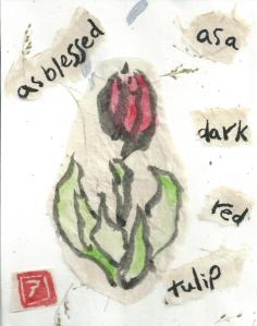 Tulip.Blessed.Red2.Collage.07-13-13