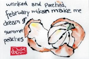 MikanFebruary.2014-02-20