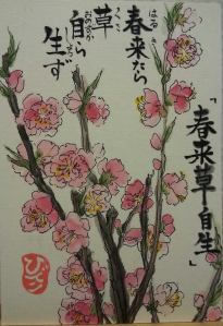 pinkflowers.ChinesePoem.Hideko.May2014