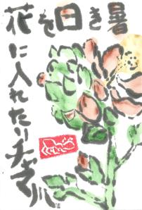 Globemallow.BashoHaiku.29June2014