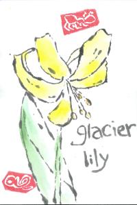 GlacierLily.1.lownijimi.2014-07-05