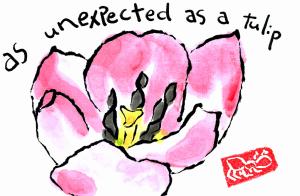 RedTulip.Unexpected.04-26-2015